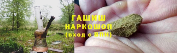 мдпв Инта