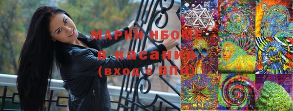 ПСИЛОЦИБИНОВЫЕ ГРИБЫ Иннополис