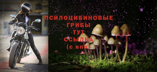твердый Зеленокумск