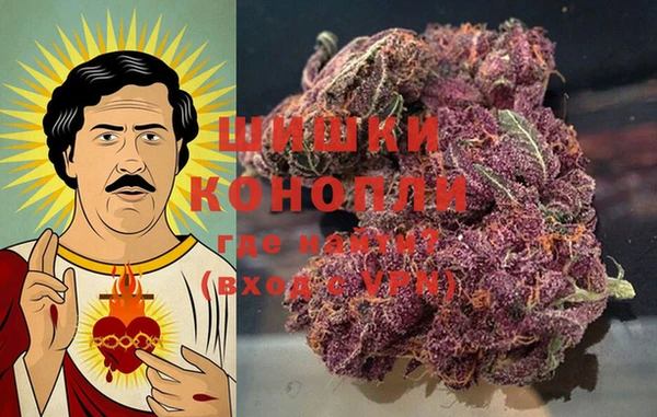 мдпв Инта