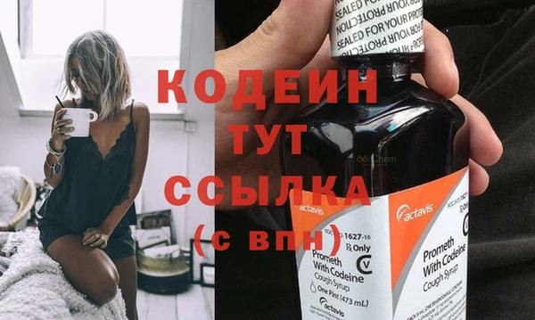 мдпв Инта