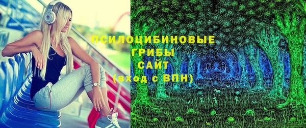 ПСИЛОЦИБИНОВЫЕ ГРИБЫ Зеленодольск