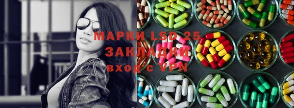 ПСИЛОЦИБИНОВЫЕ ГРИБЫ Иннополис